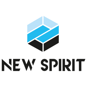 New Spirit Invest